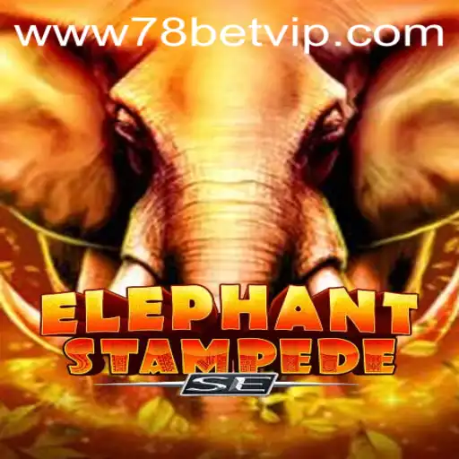 78 bet Poker Games